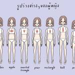 Body Shapes Of Women